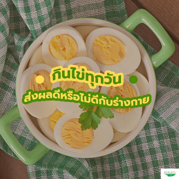 กินไข่ทุกวัน ส่งผลดีหรือไม่ดีกับร่างกาย

&nbsp;
