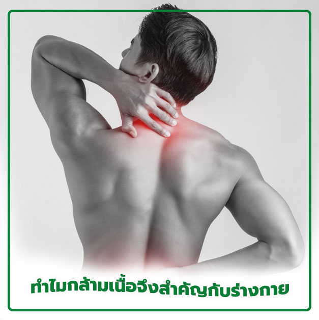 ทำไมเราต้องสร้างกล้ามเนื้อ? กล้ามเนื้อสำคัญกับร่างกายอย่างไร
