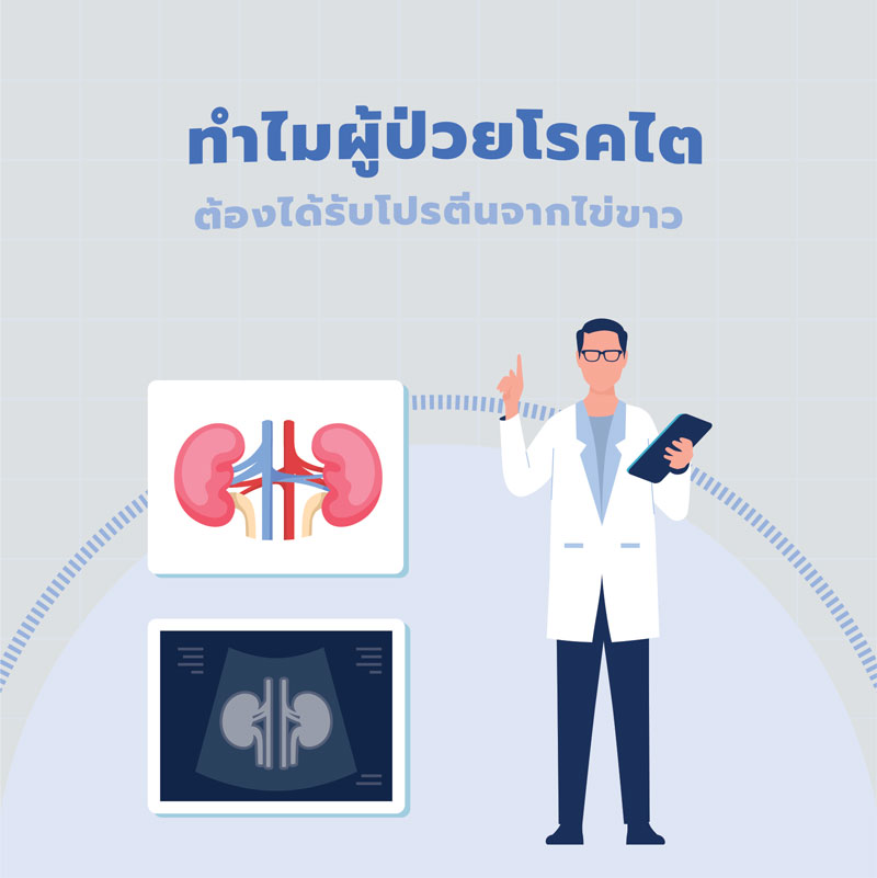 ทำไมผู้ป่วยโรคไตต้องได้รับโปรตีนจากไข่ขาว
