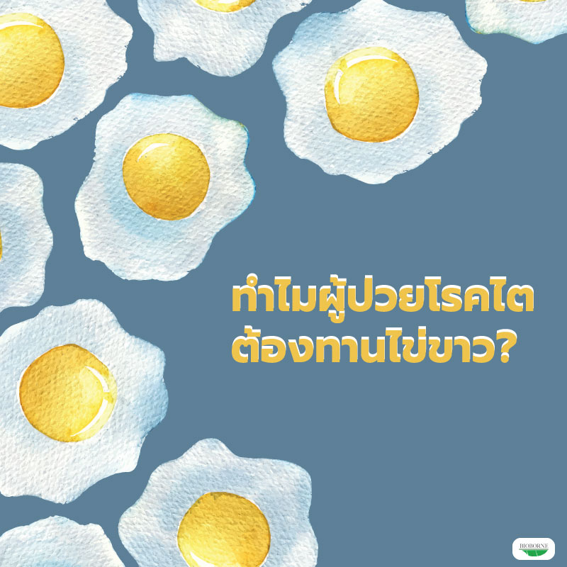 ทำไมผู้ป่วยโรคไต ต้องทานไข่ขาว
