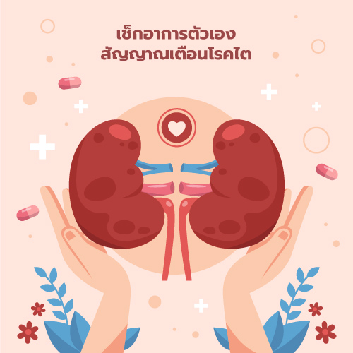 เช็กอาการตัวเอง สัญญาณเตือนโรคไต
