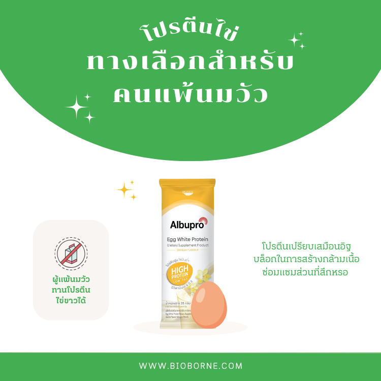 โปรตีนไข่ ทางเลือกสำหรับผู้แพ้นมวัว
