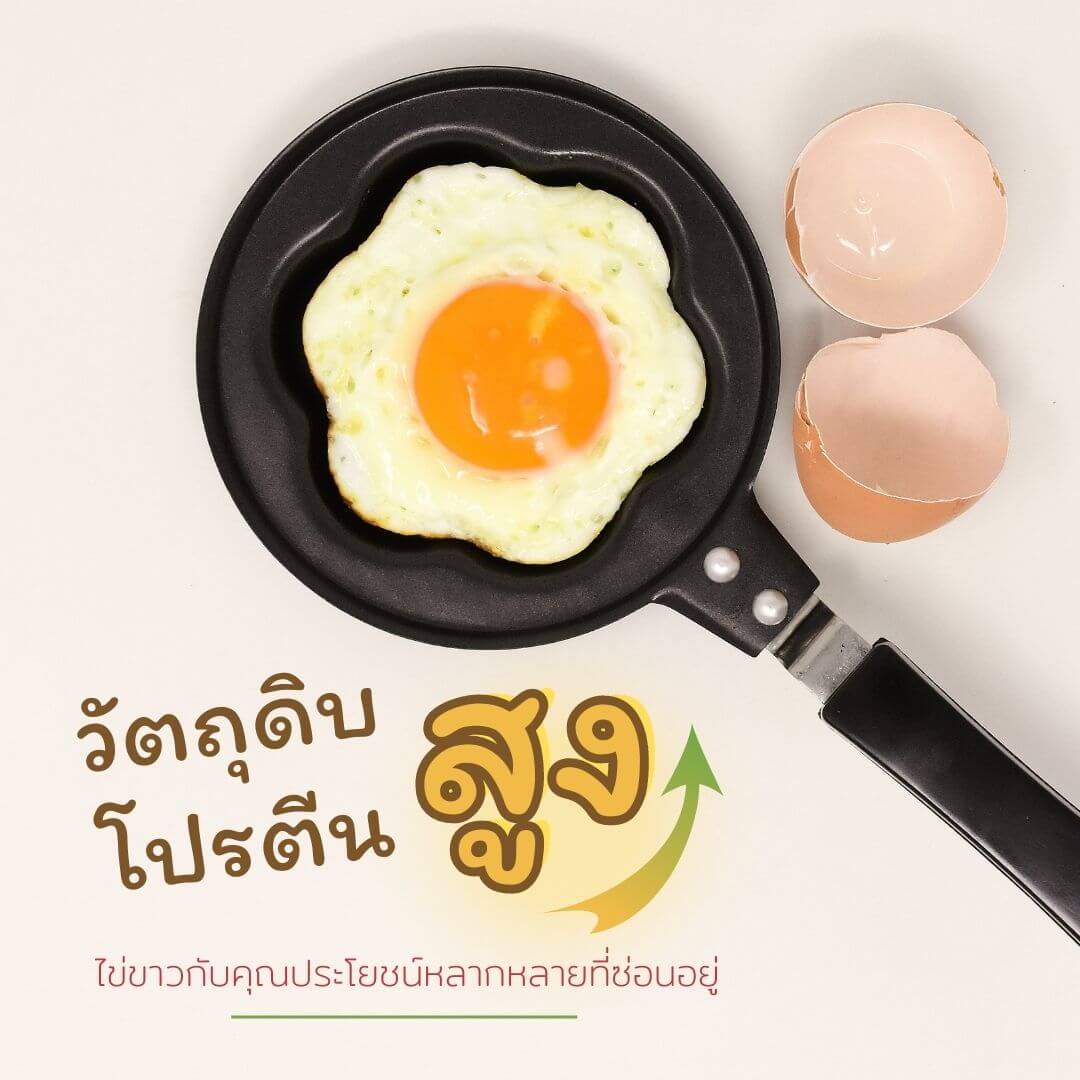 ไข่ขาว แหล่งโปรตีนคุณภาพสูงที่ซ่อนอยู่ในมื้ออาหารจานโปรดของคุณ
