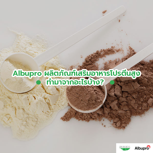 Albupro ผลิตภัณฑ์เสริมอาหารโปรตีนสูง ทำมาจากอะไรบ้าง

&nbsp;
