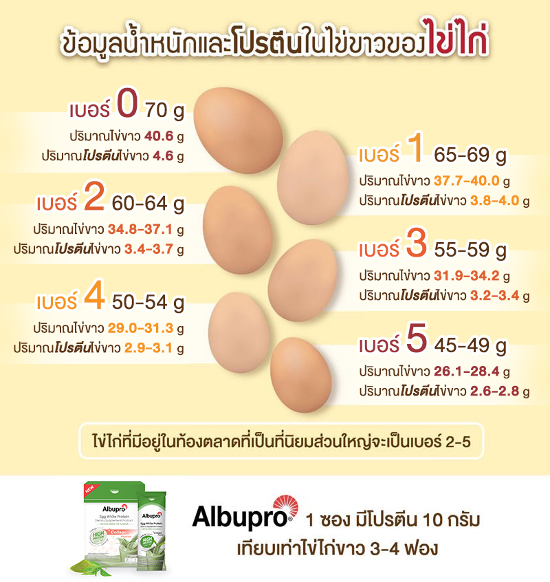 โปรตีนไข่ แหล่งโปรตีนคุณภาพ
