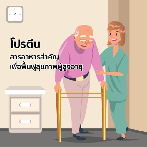 โปรตีนสารอาหารสำคัญ&nbsp;เพื่อฟื้นฟูสุขภาพผู้สูงอายุ

&nbsp;
